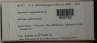 Image Associated With the Occurence